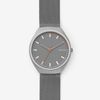  SKAGEN GRENEN SKW6387 