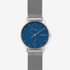  SKAGEN SIGNATUR SKW6389 