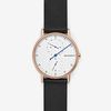  SKAGEN SIGNATUR SKW6390 