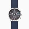  SKAGEN HOLST SKW6653 