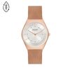  SKAGEN GRENEN SKW6827 