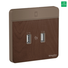 Ổ cắm sạc USB dòng AvatarOn - Schneider