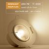 Đèn LED âm trần Philips chiếu điểm SL201 - Spotlight