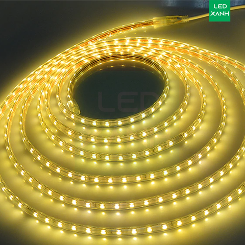 Đèn LED - Đèn Trang trí - LED XANH