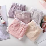  Hộp 5 Quần Chip Cotton Hồng Hạc 