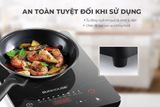  BẾP TỪ ĐƠN SUNHOUSE SHD6873 