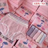  Hộp 5 Quần Chip Cotton Hồng Hạc 