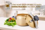  Nồi Áp Suất Anod Sunhouse SHA8354 Màu Vàng 