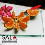  Thớt kính cường lực Sala 
