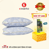  Set 2 Ruột Gối Xanh  Hoa Trà 