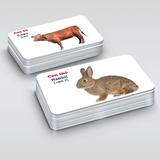  Bộ Thẻ Học Thông Minh Flashcards 16 Chủ Đề Cho Bé Học - Bộ 416 Thẻ Học Sông Ngữ Anh Việt Cao Cấp 