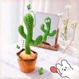  Đồ Chơi Xương Rồng Dùng Pin 