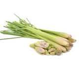  Tinh Dầu Sả Chanh 100% Thiên Nhiên Giúp Đuổi Muỗi, Làm Sạch Không Khí, Thư Giãn 