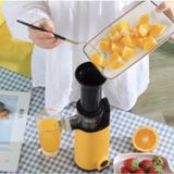  Máy Ép Chậm Trái Cây Nineshield KB-F6B 