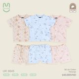  Bộ Cộc Cotton Cho Bé UR 3845 