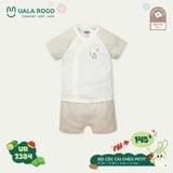  Bộ Cộc Cài Chéo Petit UR 2384 