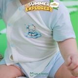  Bộ Cộc Cài Chéo Petit UR 2384 