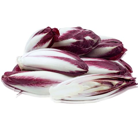 Cải diếp đắng đỏ (Red chicory) - 500gr 