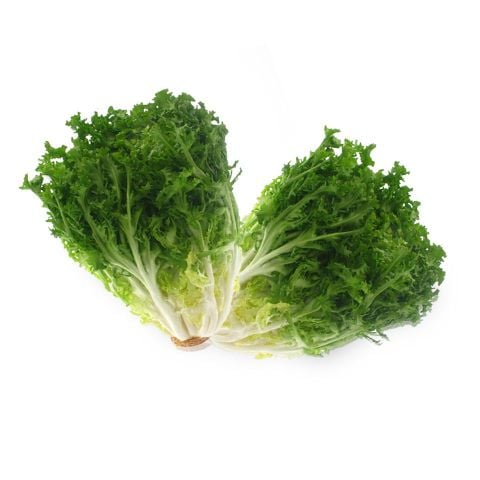 xà lách xoắn xanh (frisee)