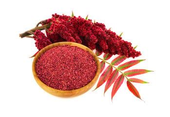  Bột Sumac (Sumac) - Hũ 100gr 