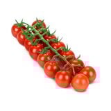 Cà chua cherry chùm màu đỏ (Cherry cocktail tomatoes on the vine) - 500gr