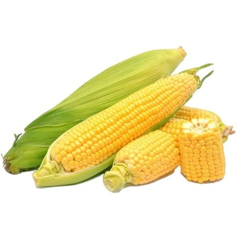  Bắp Mỹ (Corn) - trái (pc) 