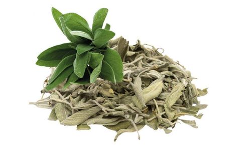  Xô thơm (Sage) - Hũ 100gr 