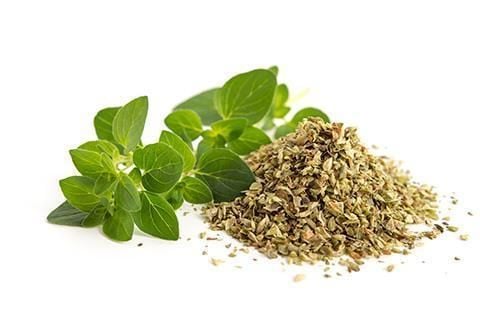  Kinh giới ô (Marjoram) - Hũ 100gr 