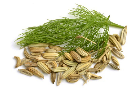  Tiểu hồi hương (Fennel seed) - Hũ 100gr 
