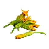 Bông bí (Pumpkin flowers male) - 100gr