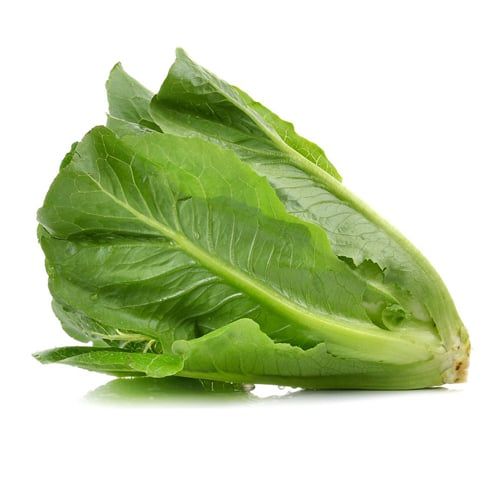  Xà lách La Mã Xanh (Green Romaine) - 500gr 