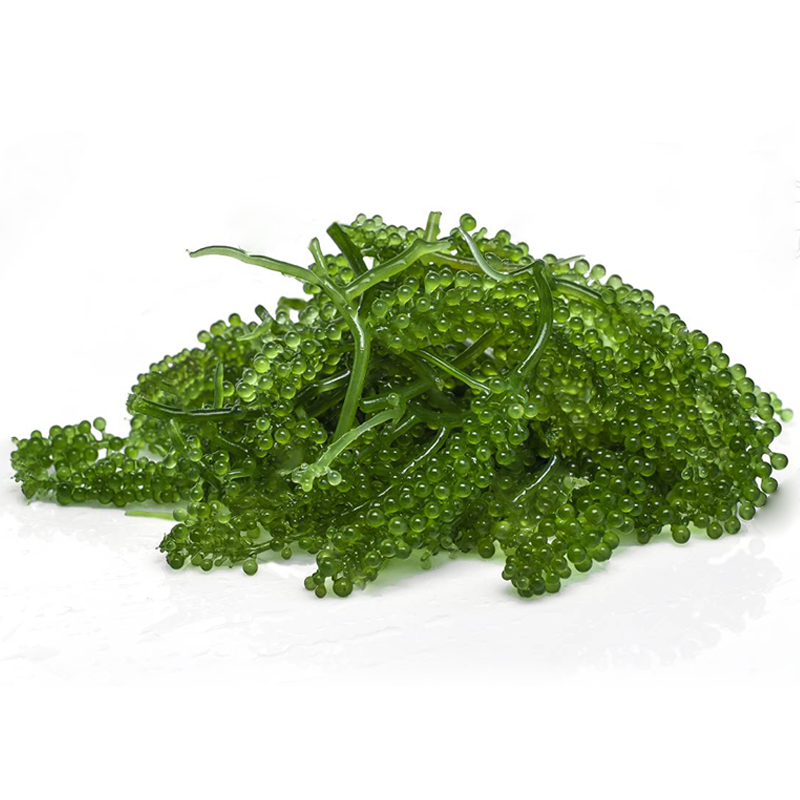  Rong nho tách nước (Salted Sea grapes) - 100gr 