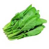 Cải bó xôi, size nhỏ<30cm (Spinach, small size) - 500gr