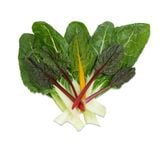 Cải cầu vồng (Swiss chard) - 500gr