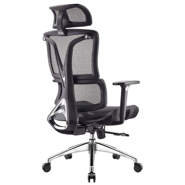 Ghế Công Thái Học Ergonomic 1608