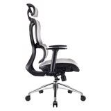 Ghế Công Thái Học Ergonomic 1608