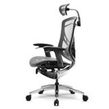 Ghế Ergonomic Công Thái Học Dvary Ivino Xám (Bản 2021 - Tay cầm 5D)