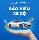 Bảo hiểm xe cộ - Bảo hiểm xe bắt buộc