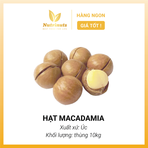 Hạt Macadamia