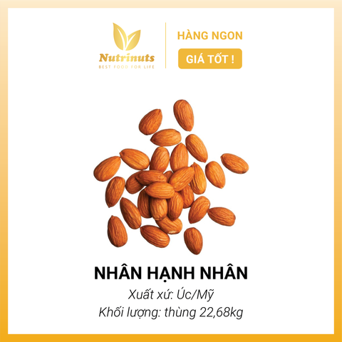 Nhân hạnh nhân