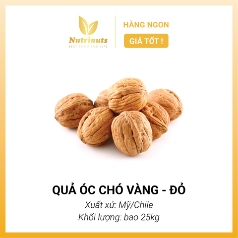 Quả óc chó Mỹ