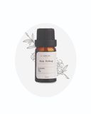  Essential Oil Chin Lab - Trà Trắng 