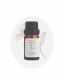  Essential Oil Chin Lab - Trà Xanh 