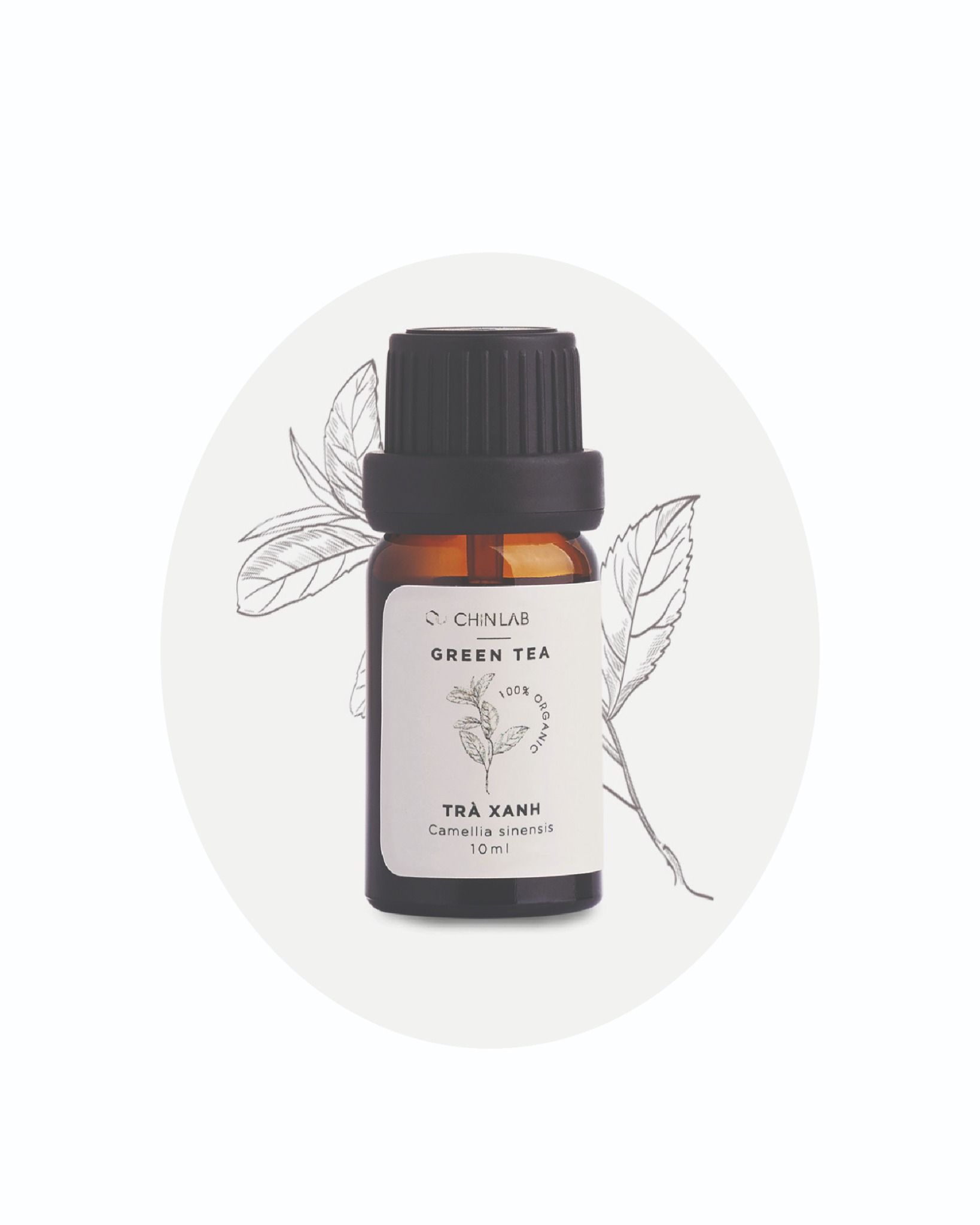  Essential Oil Chin Lab - Trà Xanh 