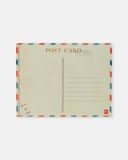  Paper Flower Peddlers Postcard 