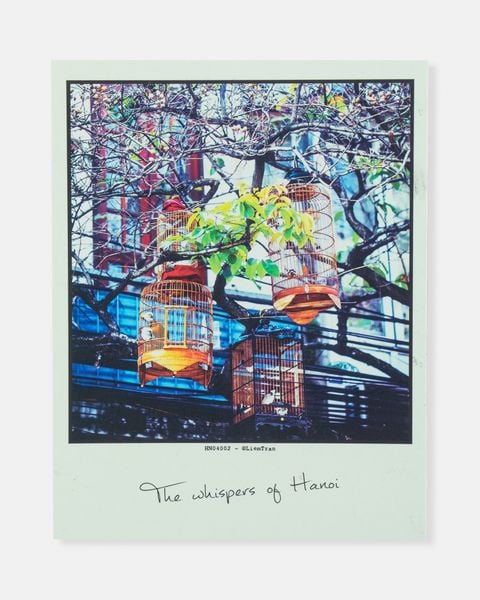  The Whisper of Hanoi Postcard 