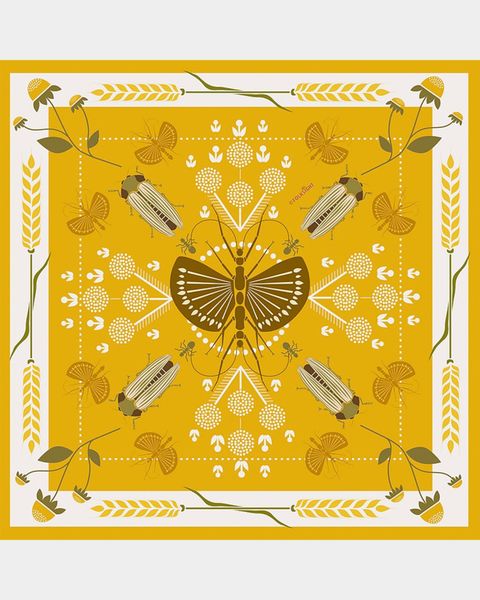  Yellow Butterfly Silk Scarf - Khăn lụa Yellow Butterfly 