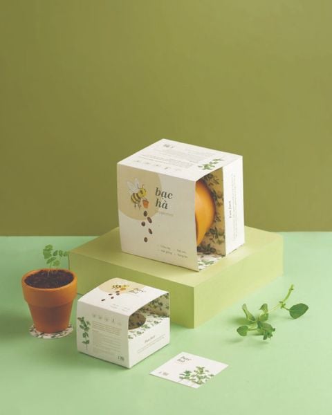  Growing Kit - Kit trồng cây mini 