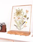  Solace Dried Flower Frame with Holder 