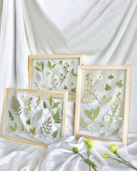  Solace Dried Flower Wooden Frame 